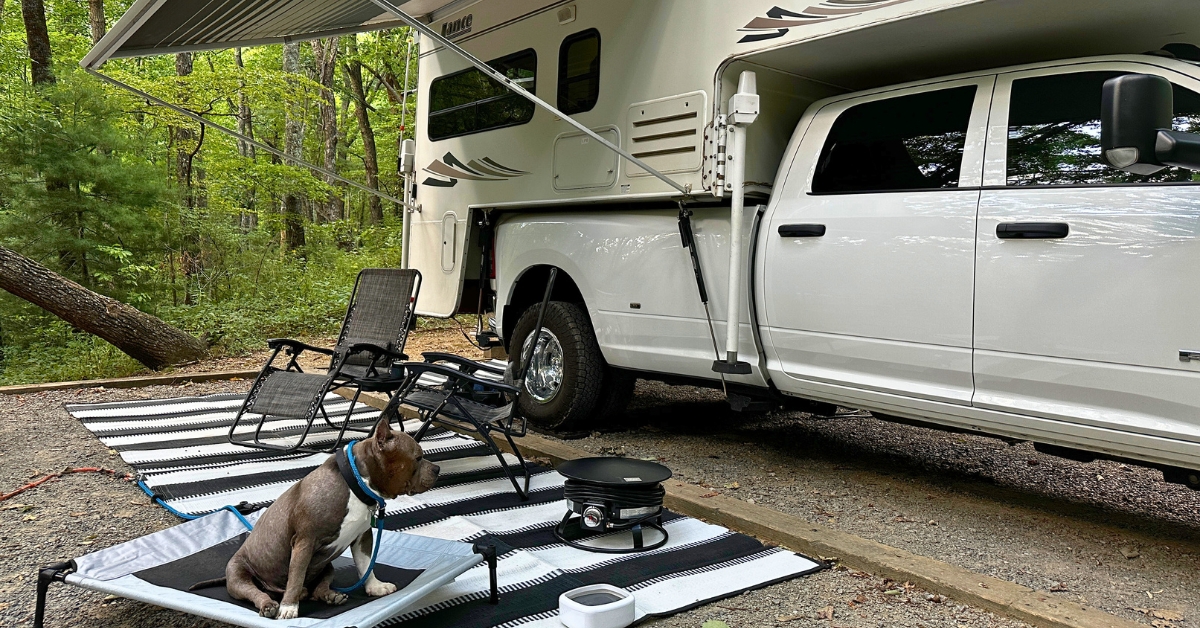 A pit bull dog sitting next to a white truck camper at a campsite
