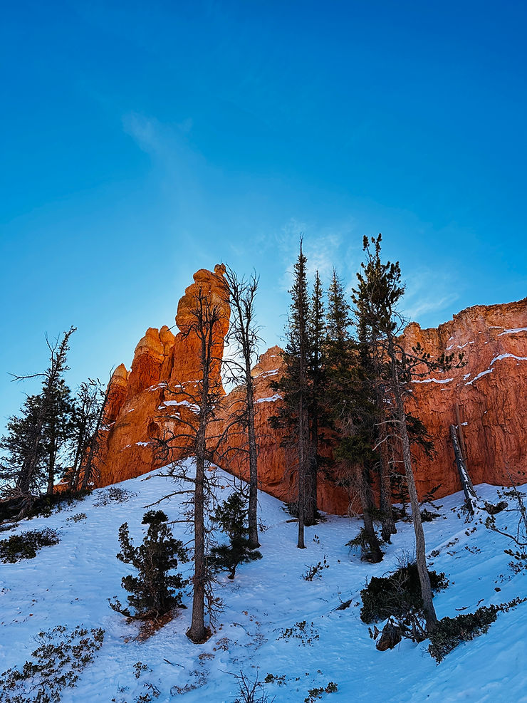 Snowy hoodoos at Bryce Canyon