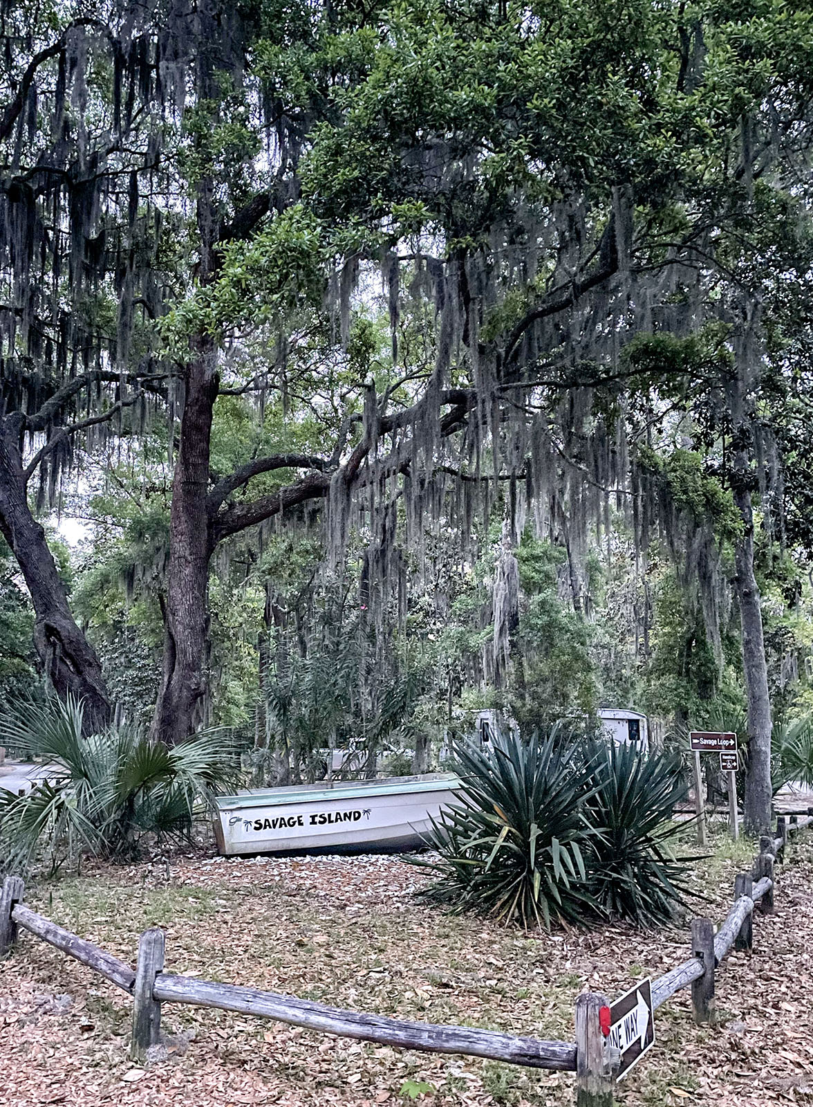 Camping at Fort McAllister State Park