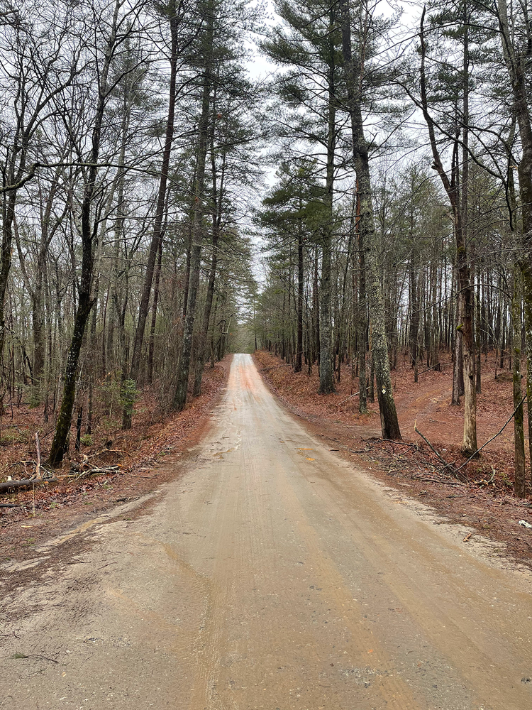 Why it’s important to do your research before boondocking