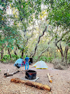 Tent camping on Cumberland Island