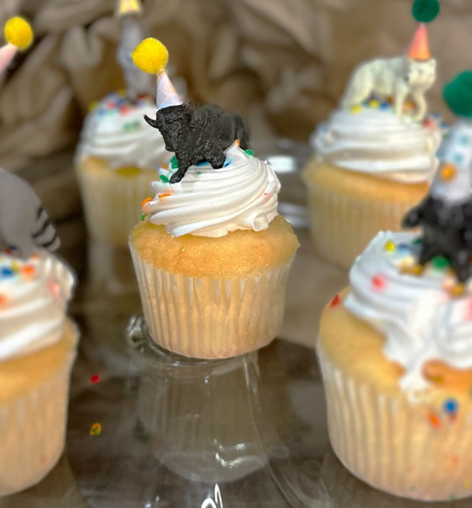 A cupcake with a small plastic bison wearing a pom pom party hap sitting on top.