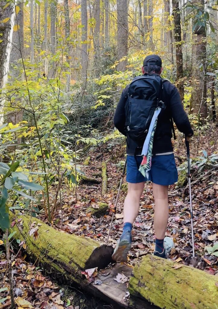 A man wearing shorts hiking in the forest